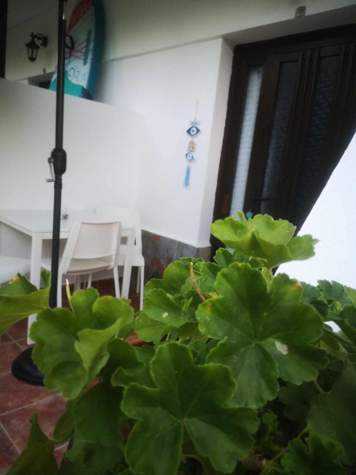Achillion B&B Paralía Skotínis Exterior foto